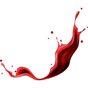 Diseño sin título (9)